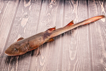 Raw indian catshark for cooking