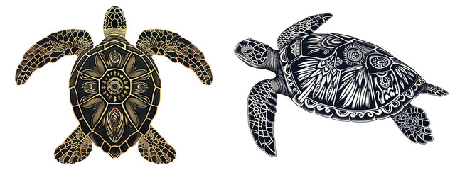 Turtles ornate sea with detailed shell designs on transparent background