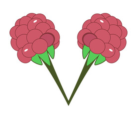 Two raspberry berries with green leaves. Vector drawing.