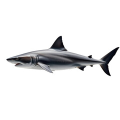 Obraz premium Realistic depiction of a swimming shark showcasing sleek body and sharp fins in a blue ocean environment