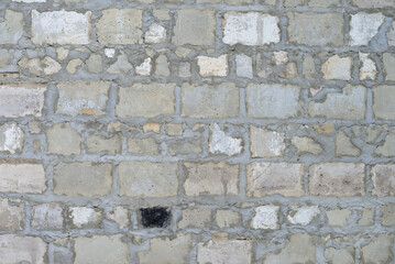 Brick wall for background.