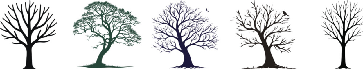 Obraz premium Diverse Collection of Winter and Evergreen Tree Silhouettes - Nature Graphic Elements Set