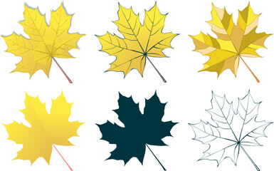 Hand-drawn gold autumn colored maple leaves collection isolated on white background. Flat and line style vector illustration.