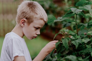 A boy with hearing aids admires blooming flowers in a sunlit garden, capturing a moment of...