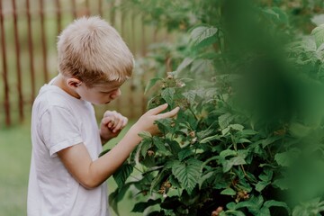 A boy with hearing aids admires blooming flowers in a sunlit garden, capturing a moment of...