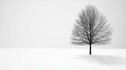 Solitary Bare Tree in Snowy Landscape with Minimalist Aesthetic