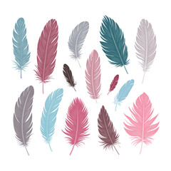 Bird feathers of different shapes, sizes and colors. Large set of different feathers. Concept of spirituality, freedom and creativity. Vector illustration on a white background.