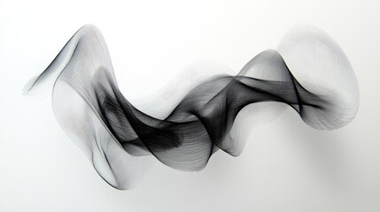 Abstract Black and White Wave Design with Flowing Lines and Curves