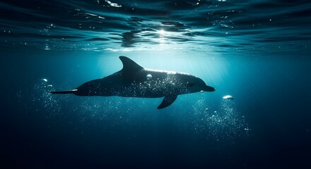 Naklejka premium Graceful dolphin swimming in clear blue ocean water, illuminated by sun rays and surrounded by bubbles