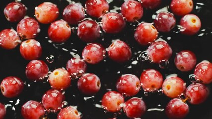 Many red grapes falling on the surface, super slow motion, grapes are shown with a slow splash of water after hitting the surface, shot against a black background and from above - Powered by Adobe