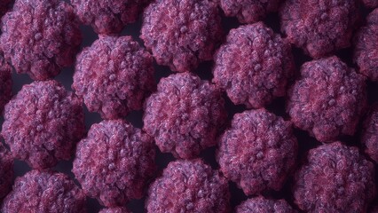 Surface of purple cauliflower heads fresh harvest natural healthy vege