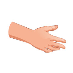 female hand holding something isolated on white