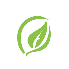 Obraz premium Green leaf ecology nature logo