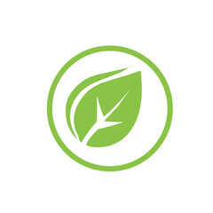 Obraz premium Green leaf ecology nature logo