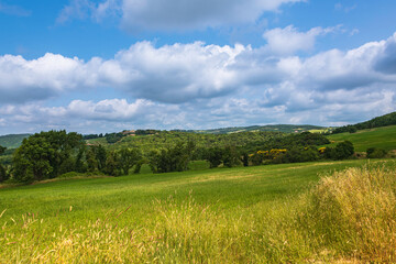 Sunny Morning In The Rolling Hills