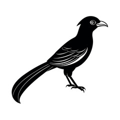 Blue Faced Malkoha Exotic Bird Clipart  
