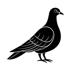 Emerald Dove Colorful Bird Illustration  