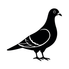 Green Imperial Pigeon Exotic Bird Vector  