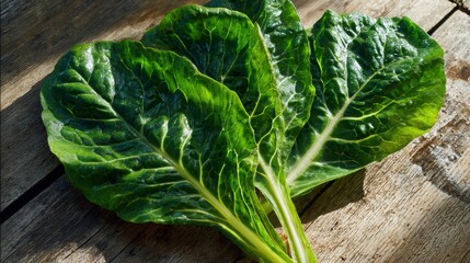 Fresh green Swiss chard leaves with prominent veins, arranged on rustic wood with sunlight highlighting their glossy texture