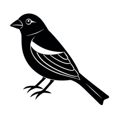 Obraz premium Pine Grosbeak Winter Songbird Vector 