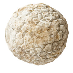 Exploring unique geological formations natural rock sphere outdoor landscape macro photography earth science