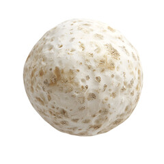 Exploring unique natural textures forest floor macro photography white sphere close-up organic beauty