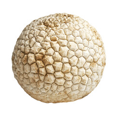 Natural hexagonal stone sphere outdoor environment nature photography textured surface close-up view