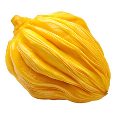 Harvesting vibrant jackfruit tropical orchard food photography lush environment close-up viewpoint culinary delight