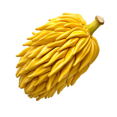 Harvesting unique banana variety farm food photography bright studio close-up exotic produce