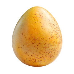 Golden speckled egg display nature scene still life photography bright lighting isolated view organic concept