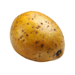 Harvesting potatoes farm field food photography natural environment close-up agriculture