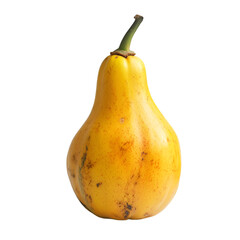 Harvesting fresh yellow squash organic farm food photography bright studio close-up healthy cooking inspiration