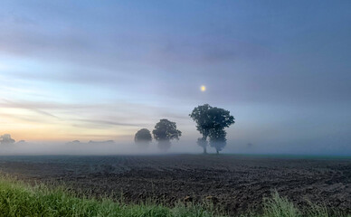 A beautifully serene and tranquil landscape showcasing misty fields, lush trees, and a lovely...
