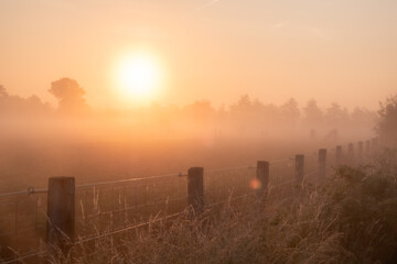 A peaceful, tranquil sunrise is casting beautiful golden hues across a foggy landscape adorned with rustic fencing