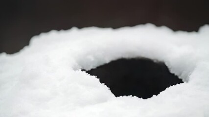 A ground squirrel wearing a hat in the snowy environment, perfect for winter or holiday-themed uses - Powered by Adobe