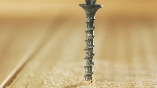 Close-up screwdriver bit screwing black countersunk self-tapping screw into wooden surface. Hardware tool driving rough fastener during construction. Bit working in repair scenario