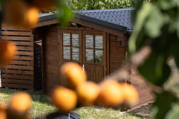 A wooden cabin surrounded by greenery and fruit trees. The cabin features large windows and a...