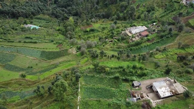 An aerial view of brids flying over the terrace farming fields of Mukteshwar