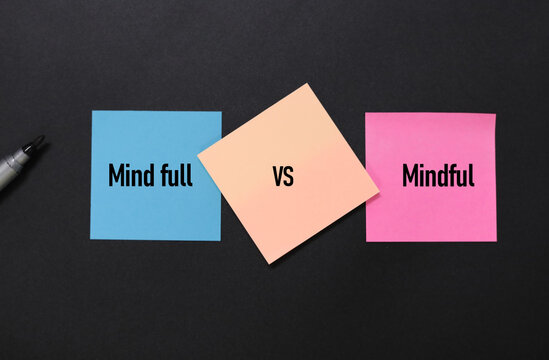 Word Mind full vs mindful. the concept of mind or thought. When there is too much information to process, you may feel cognitive overload