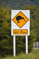 beware of kiwi