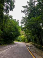 “Curved mountain road in Ayubia, Pakistan, surrounded by lush green trees and serene nature. Peaceful scenic drive under bright sky. Travel, landscape, nature, Pakistan beauty