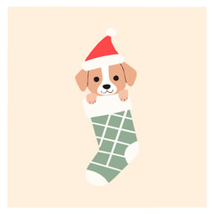 Adorable cream-colored puppy wearing a Santa hat, inside a Christmas stocking. A festive and cheerful vector illustration, perfect for Christmas designs and greeting cards.