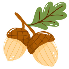 Cozy Autumn Acorn