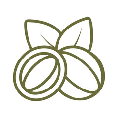 Make a Professional Shea Nut Vector Art