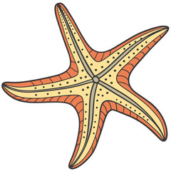 Starfish Illustration: A vibrant illustration of a starfish, showcasing its unique star-shaped form. A perfect visual for ocean theme, marine life, and graphic design.