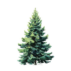 Fototapeta premium pine tree isolated in White Background, pine tree vector, Flat lay vector illustration