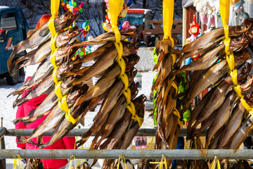 drying pollack in the cold air