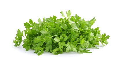 Photograph of fresh parsley sprigs arranged on a white background.