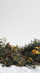 Vibrant Wildflowers Against Neutral Background for Nature Lovers
