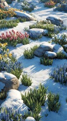 Snowy Garden with Colorful Flowers and Rocks in Early Spring Landscape